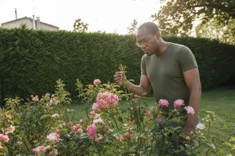 Homme à lunettes en t-shirt vert olive, penché sur un rosier en fleurs devant une haie taillée, qui tient le bout d'une tige entre ses doigts pour la regarder de près.