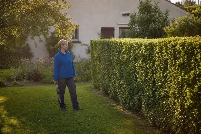 Femme aux cheveux blonds courts et à la veste polaire bleue, debout dans l'herbe devant une haie de charme taillée au carré, une cisaille à haie fermée tenue le long de la jambe, le regard sur la haie.