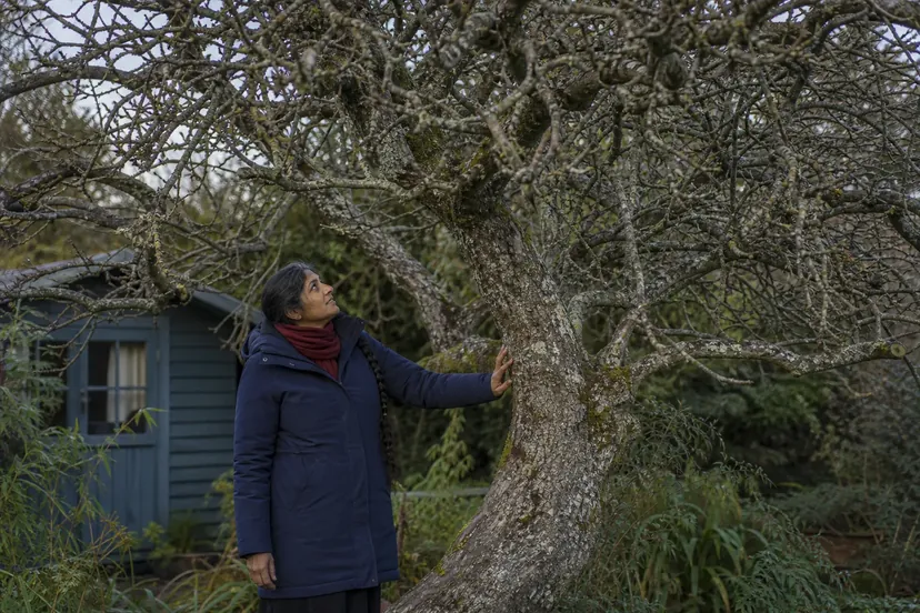 Femme en parka bleu nuit et écharpe rouge, cheveux sombres tressés, une main posée sur le tronc penché et couvert de lichen d'un très vieux pommier sans feuilles, qui lève les yeux vers ses branches emmêlées, près d'une cabane de jardin.