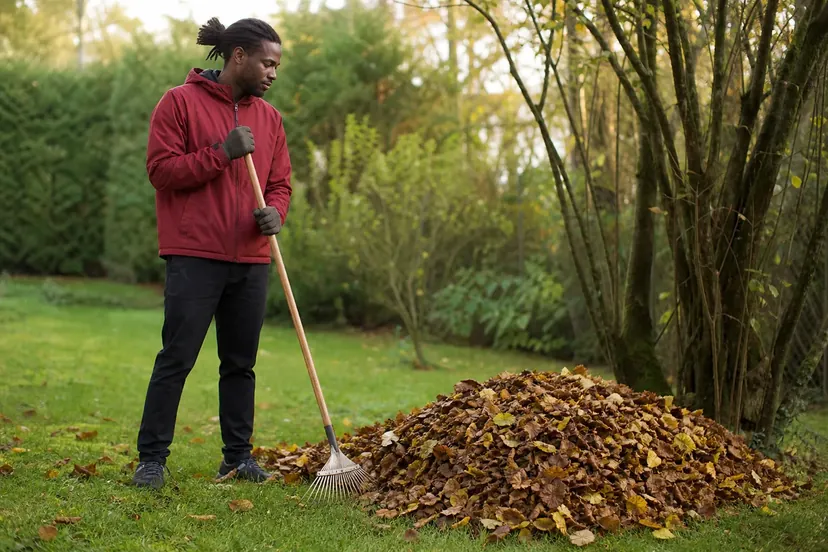 Homme aux locks attachées, en coupe-vent rouge brique et gants, debout sur une pelouse, les mains sur le manche d'un râteau à feuilles posé au sol, à côté d'un grand tas de feuilles mortes.