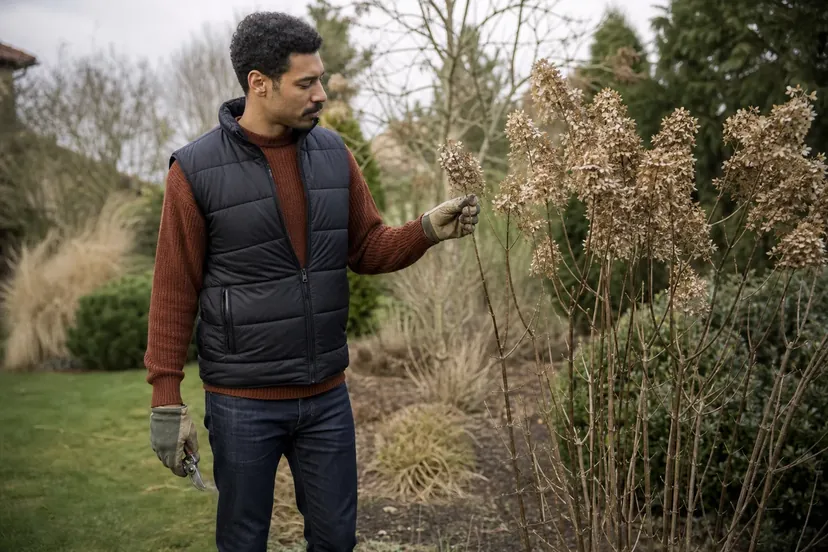 Homme moustachu aux cheveux noirs bouclés, en gilet matelassé noir sur un pull rouille, debout près d'un hortensia paniculata aux tiges nues et aux vieilles fleurs en cône séchées, une tige dans sa main gantée, un sécateur fermé dans l'autre main le long du corps, en fin d'hiver.